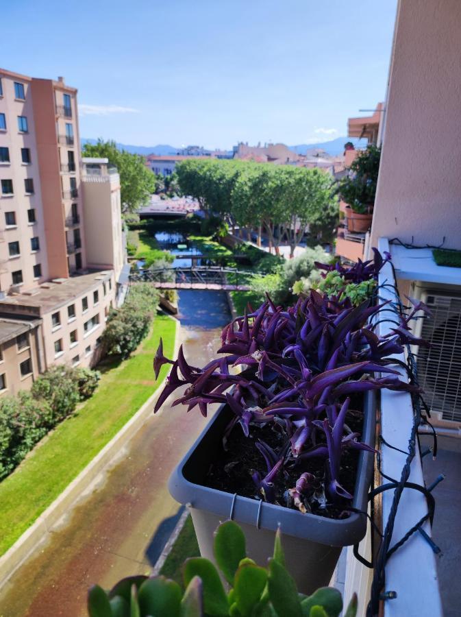 Le Balcon De La Basse Centre Ville De Perpiñán Exterior foto